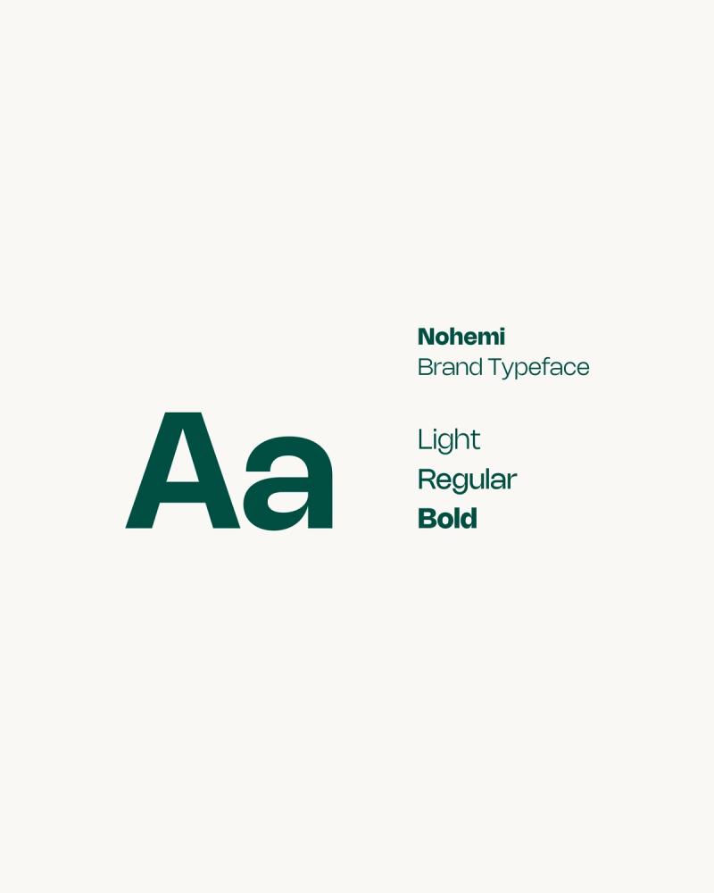 Hausschrift von CQ: Nohemi in Light, Regular und Bold