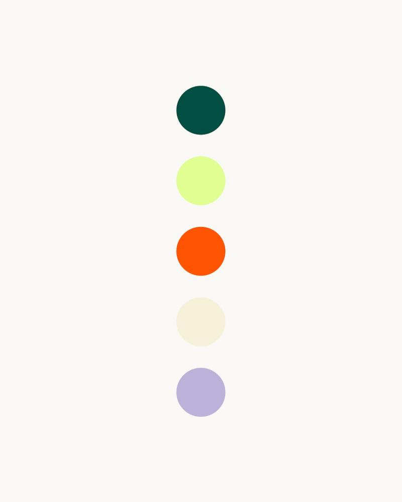 Farbpalette von CQ: Dunkelgrün, Hellgrün, Orange, Creme und Lavendel