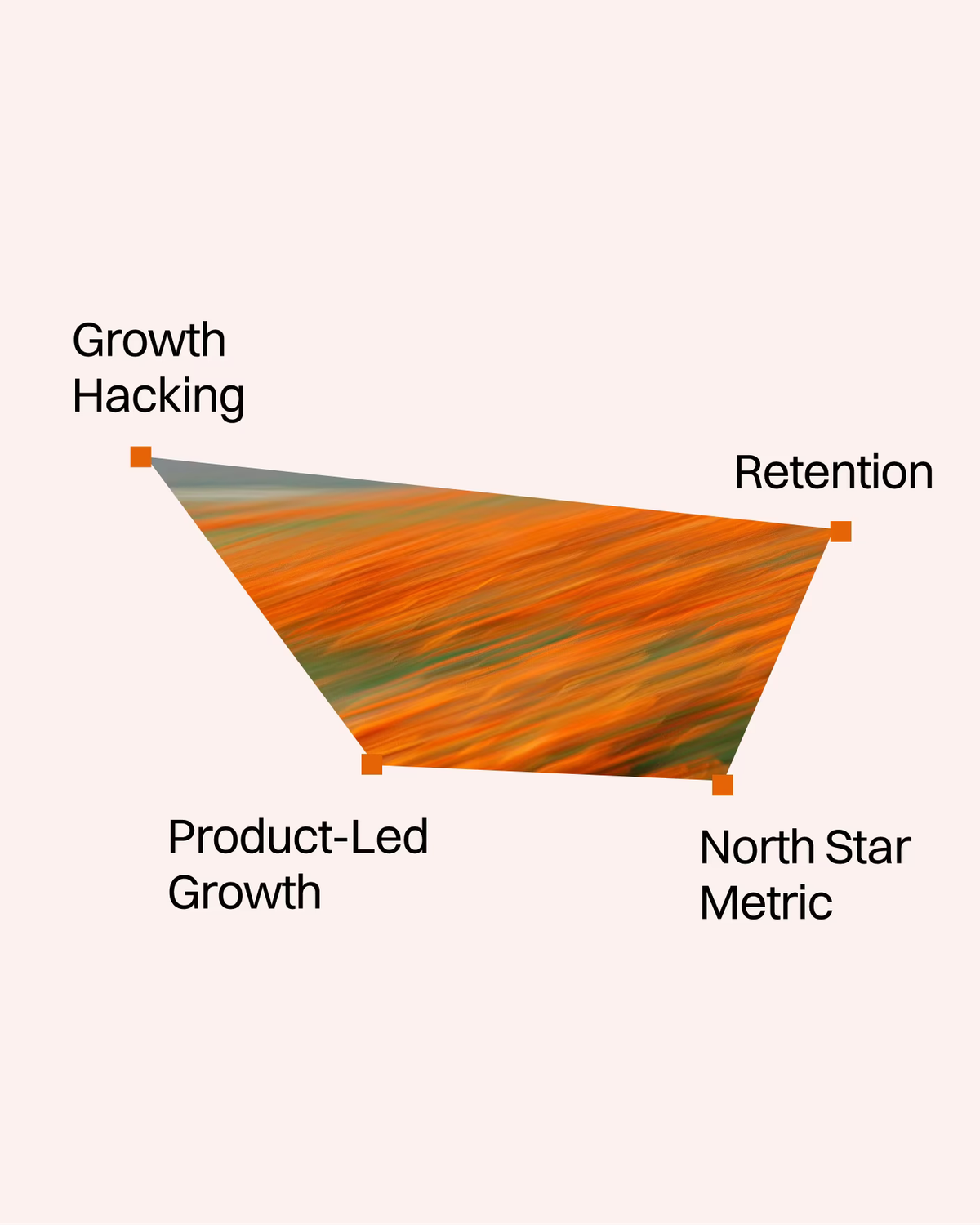 Grafik mit den Begriffen Growth Hacking, Retention, Product-Led Growth und North Star Metric