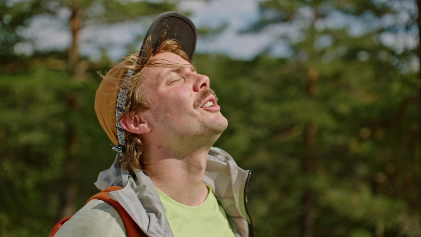 Trekkfugler still 2