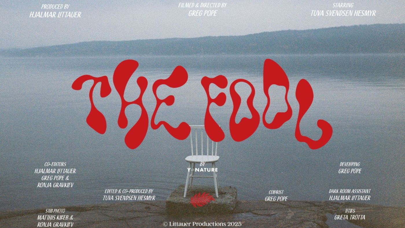 En stol, et hav og tekst som sier «The Fool»