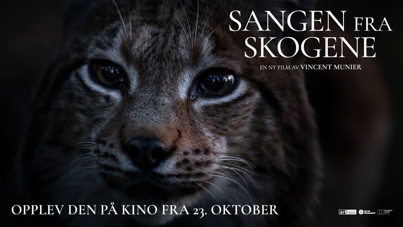 Tre hjortedyr står i vann med tåke. Trær i bakgrunnen.