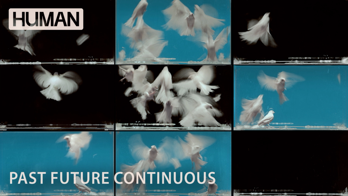 Past Future Continuous human 26