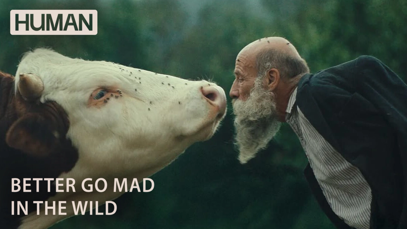 Better Go Mad in the Wild Human 26