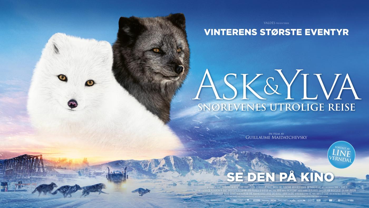 En hvit og en grå snørev og polart landskap