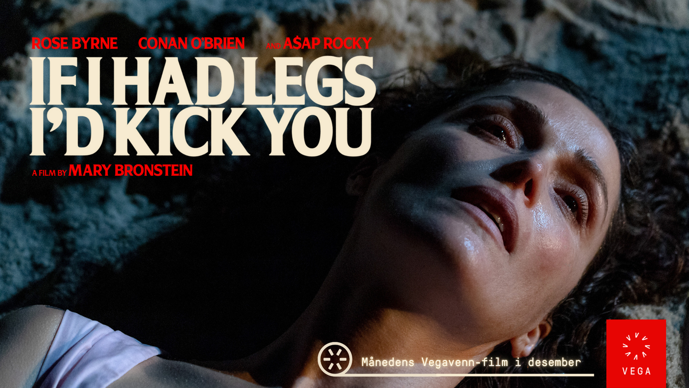 If I Had Legs Id Kick You Vegavenn