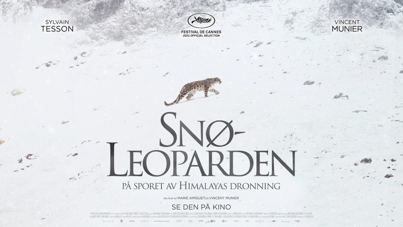 Snøleoparden