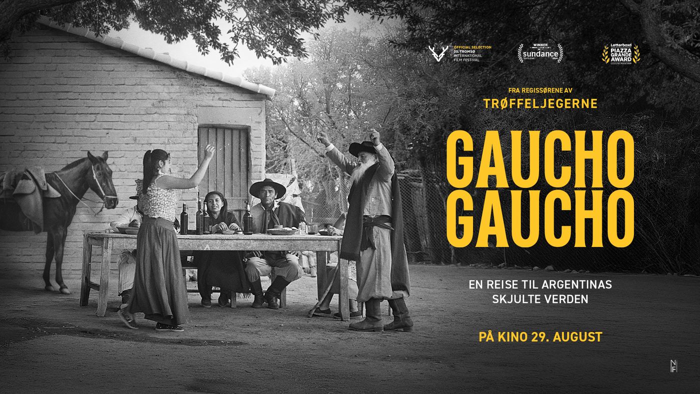 Gaucho Gaucho liggende