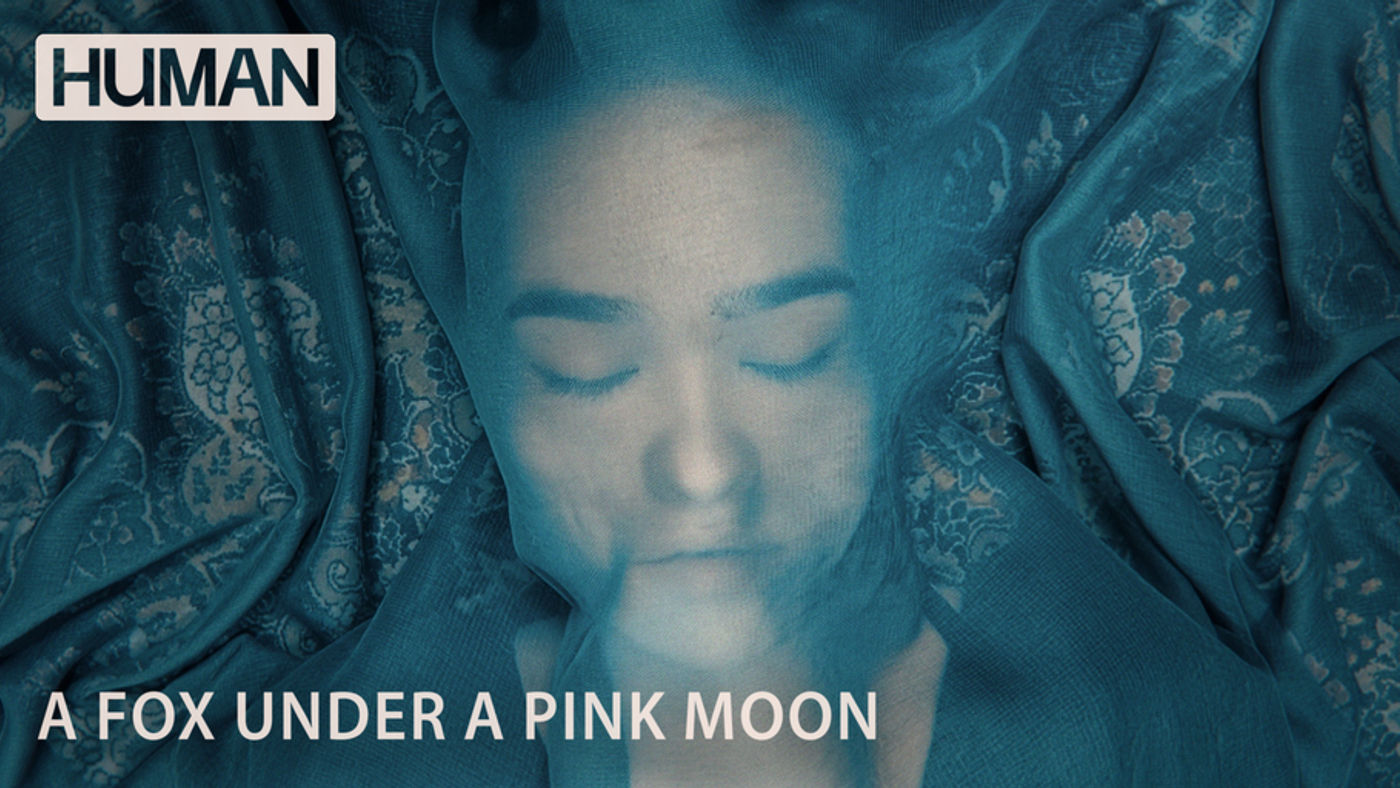 A Fox Under a Pink Moon human 26