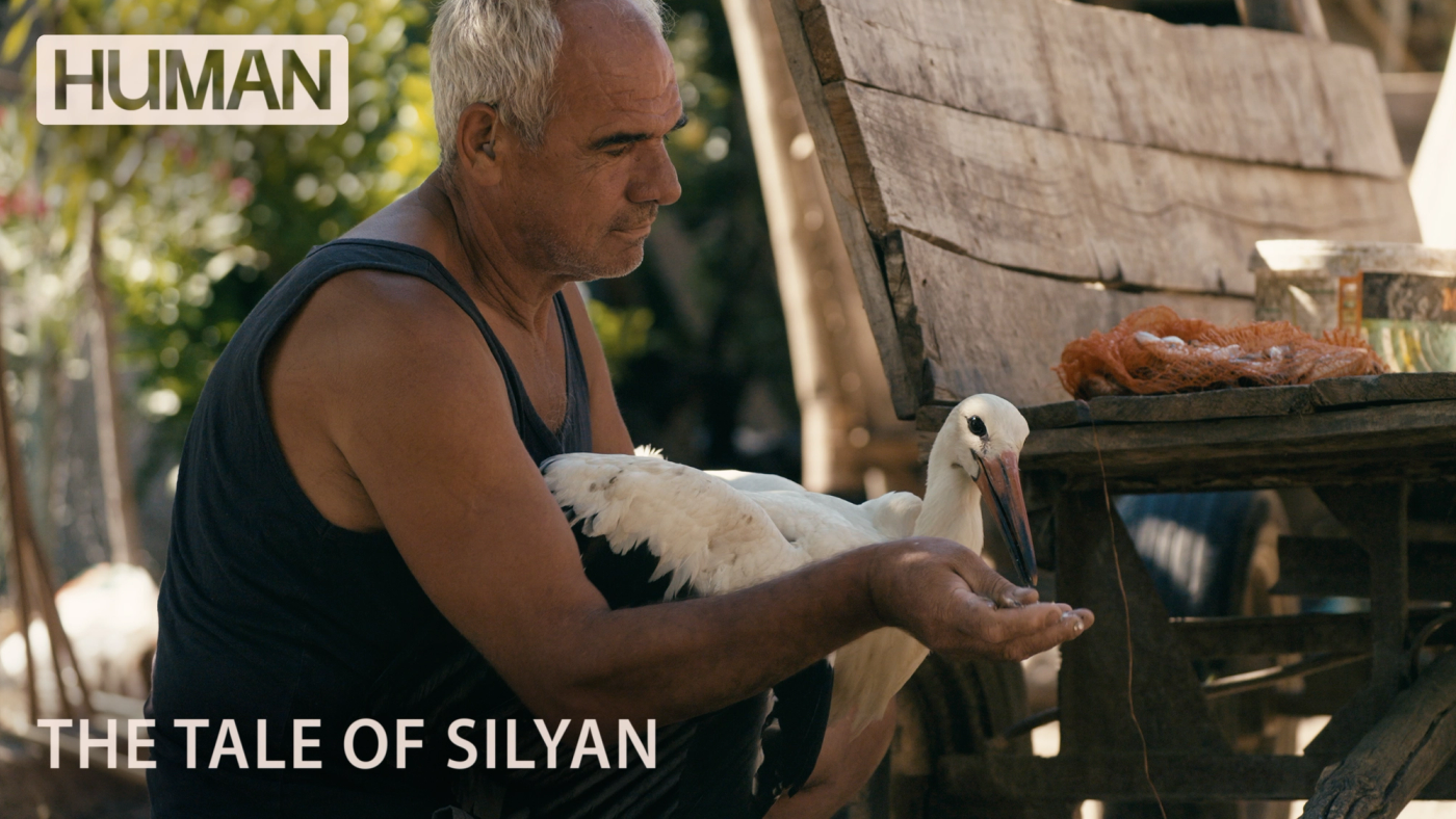 Sagnet om Silyan Human 26