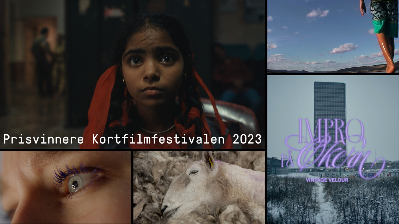 Kollasj av stillbilder fra de forskjellige kortfilmene i programmet