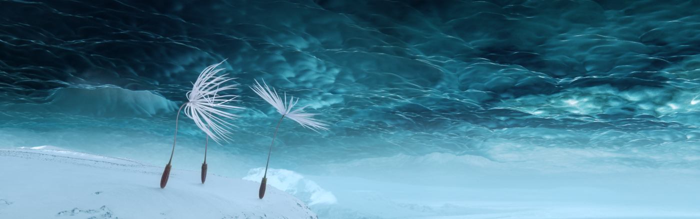 Dandelions Odyssey still