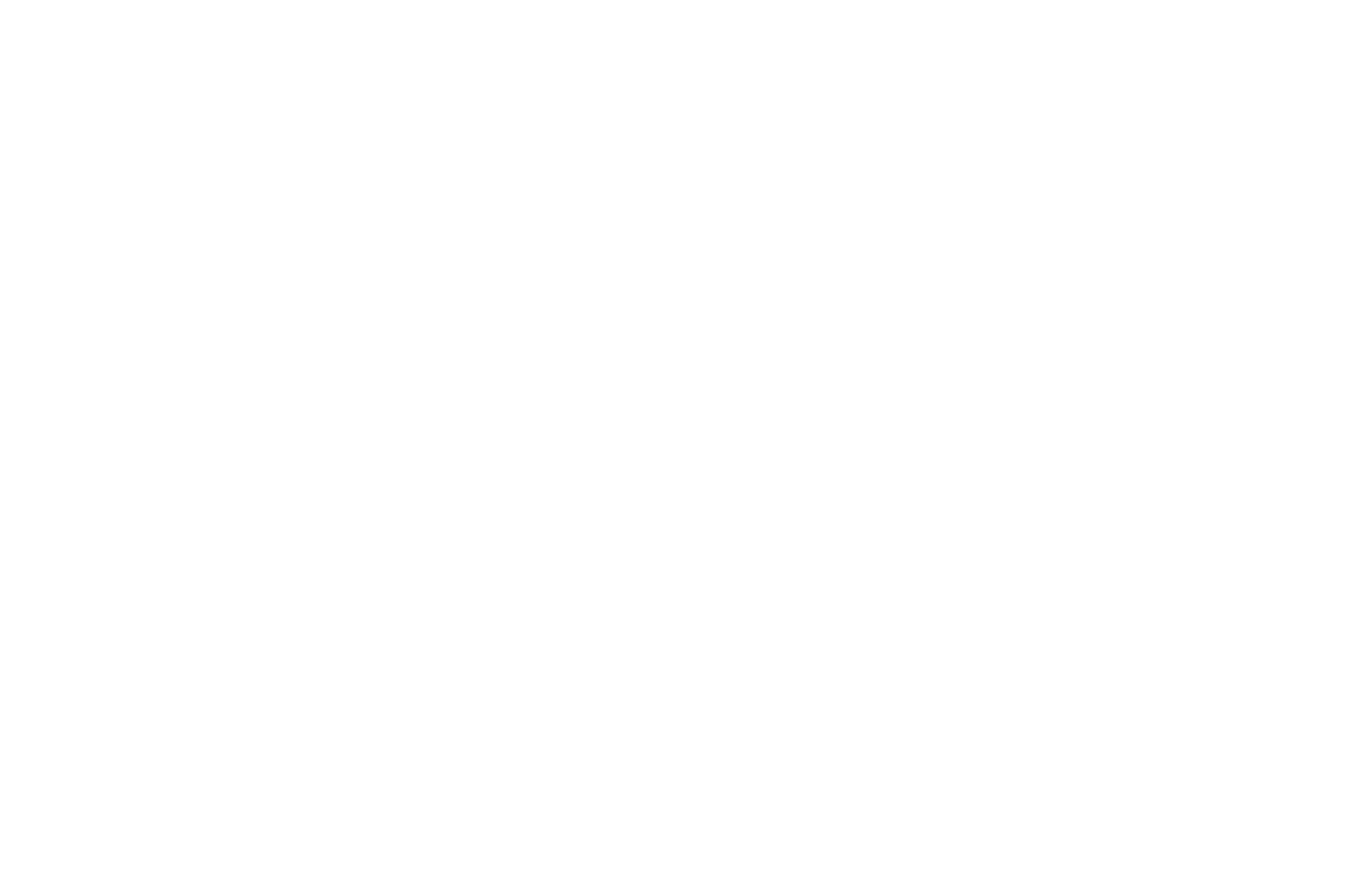 Directus icon