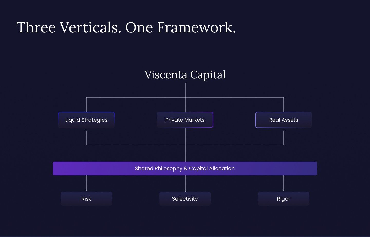 Platform Overview page design for Viscenta Capital showing the platform overview section