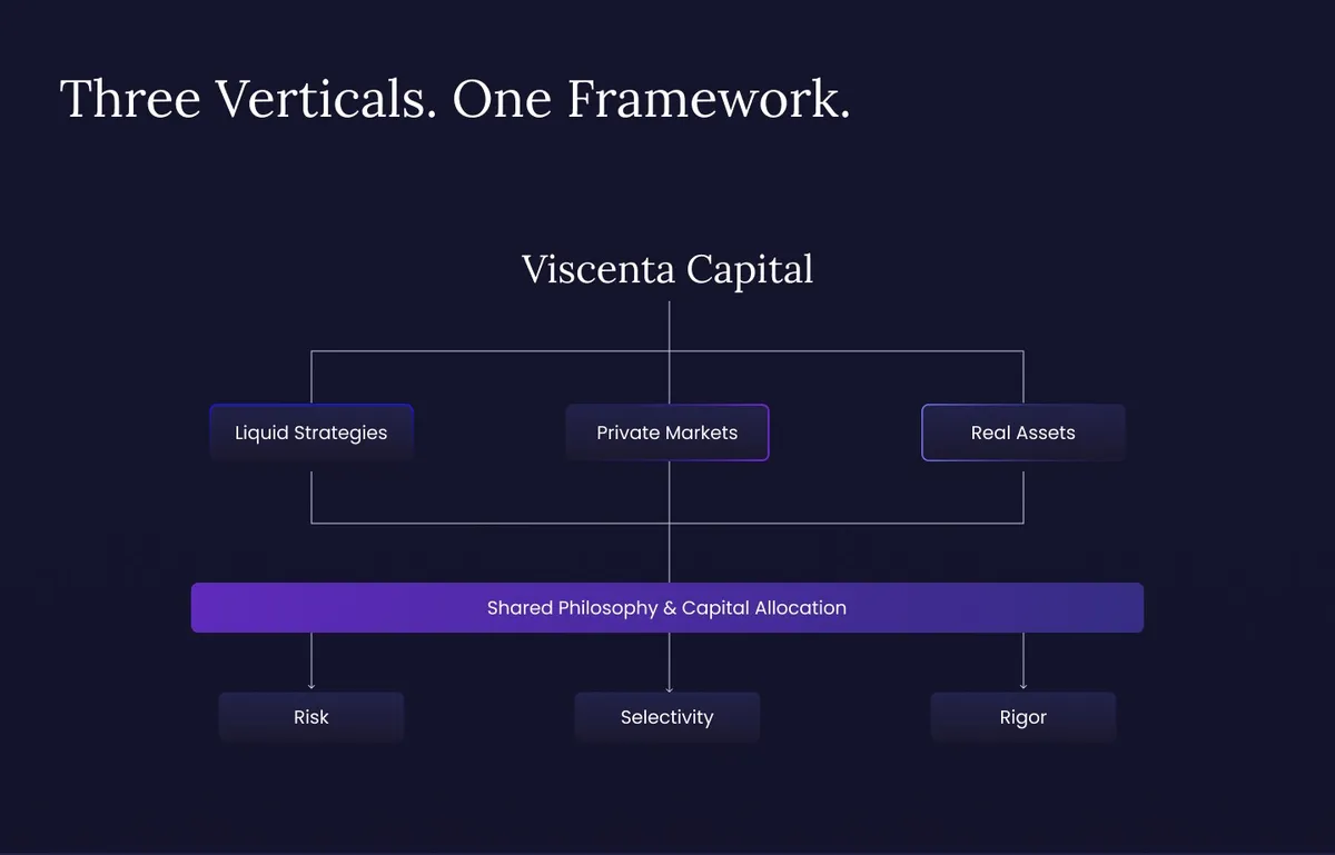 Platform Overview page design for Viscenta Capital showing the platform overview section
