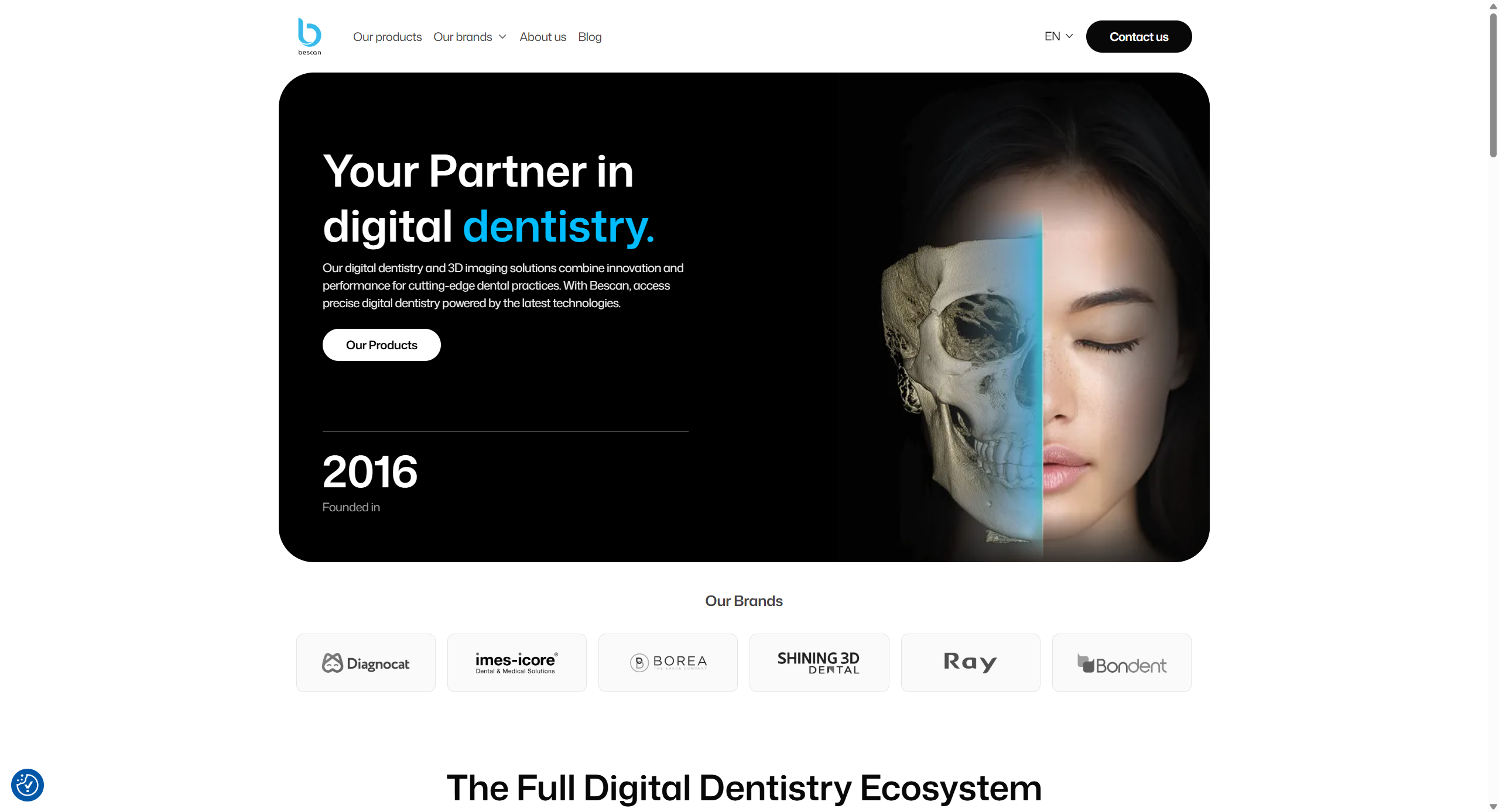 Home page design for Bescan showing the home section