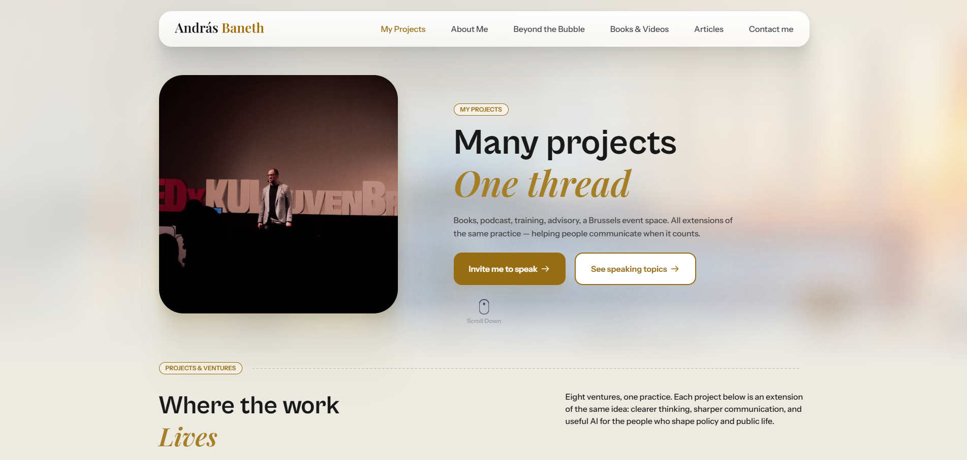 My Projects page design for András Baneth showing the my projects section