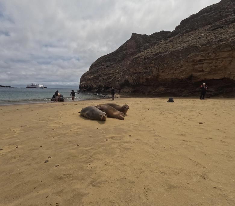 León Dormido & Punta Pitt