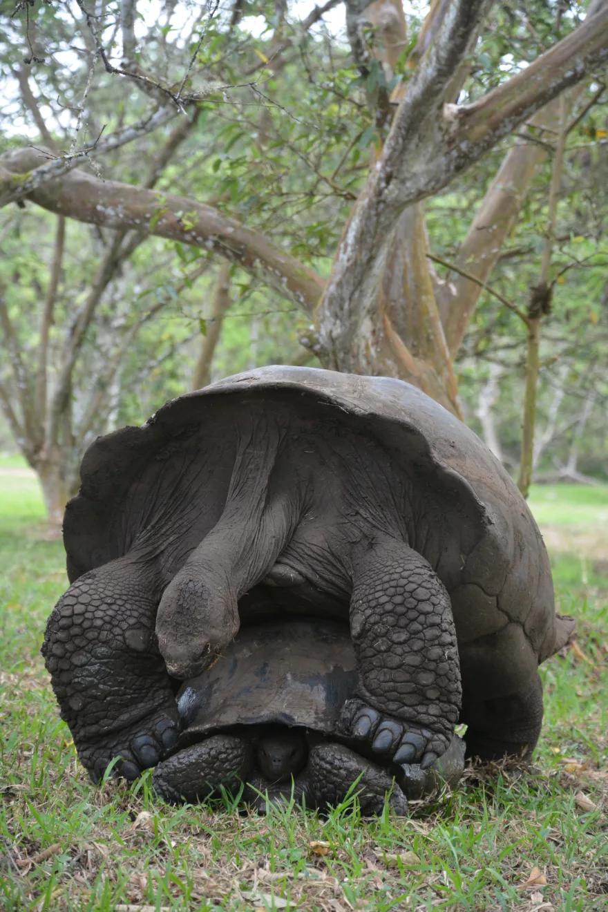 Tour Parte Alta (grupos 2-9 personas)