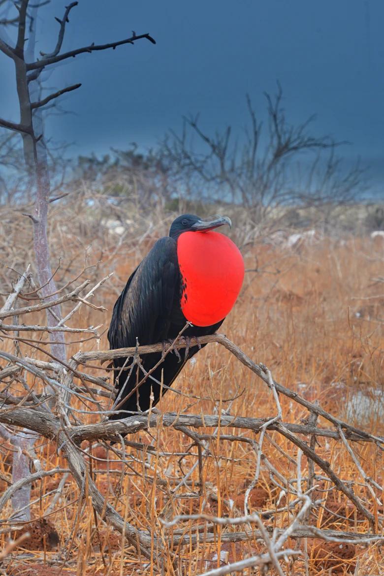 PAQUETE "JOYAS DEL PACÍFICO"