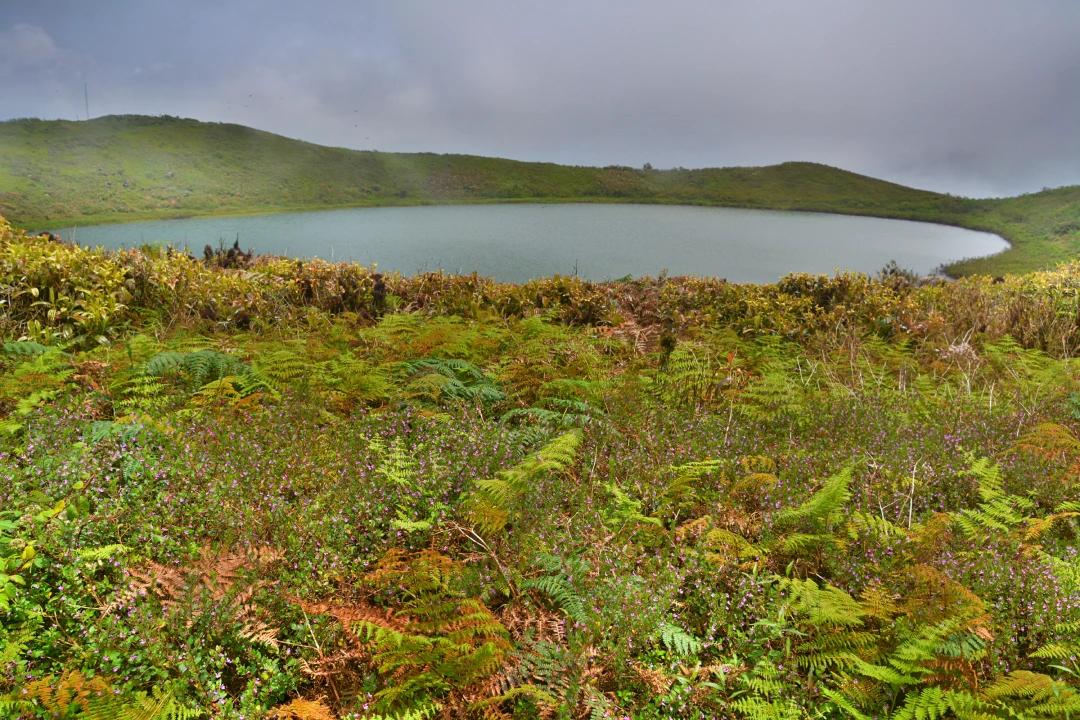 Tour Parte Alta (grupos 2-9 personas)