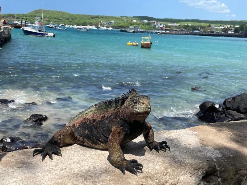 PAQUETE "JOYAS DEL PACÍFICO"