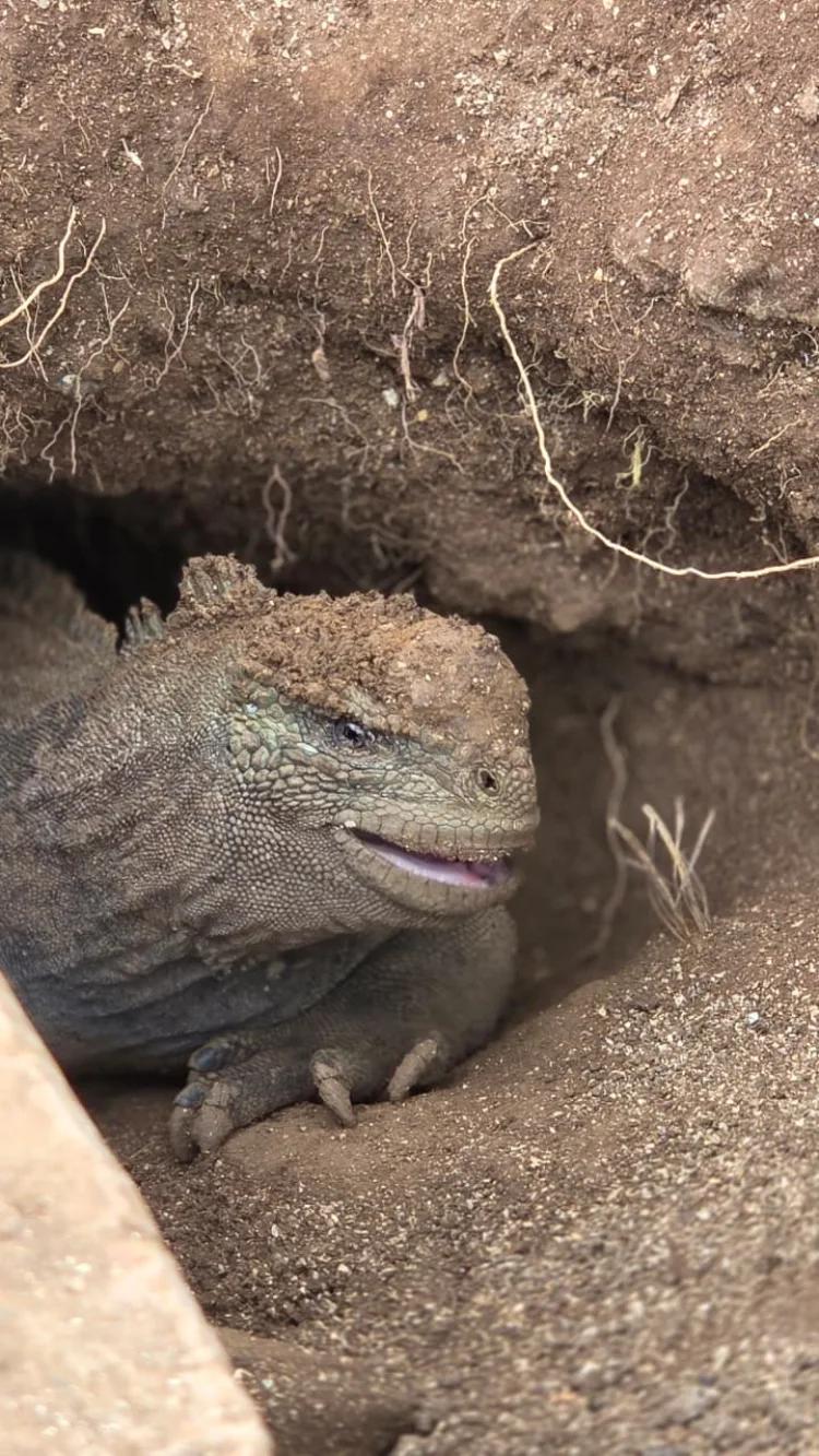 PAQUETE "RUTA DEL DIAMANTE"