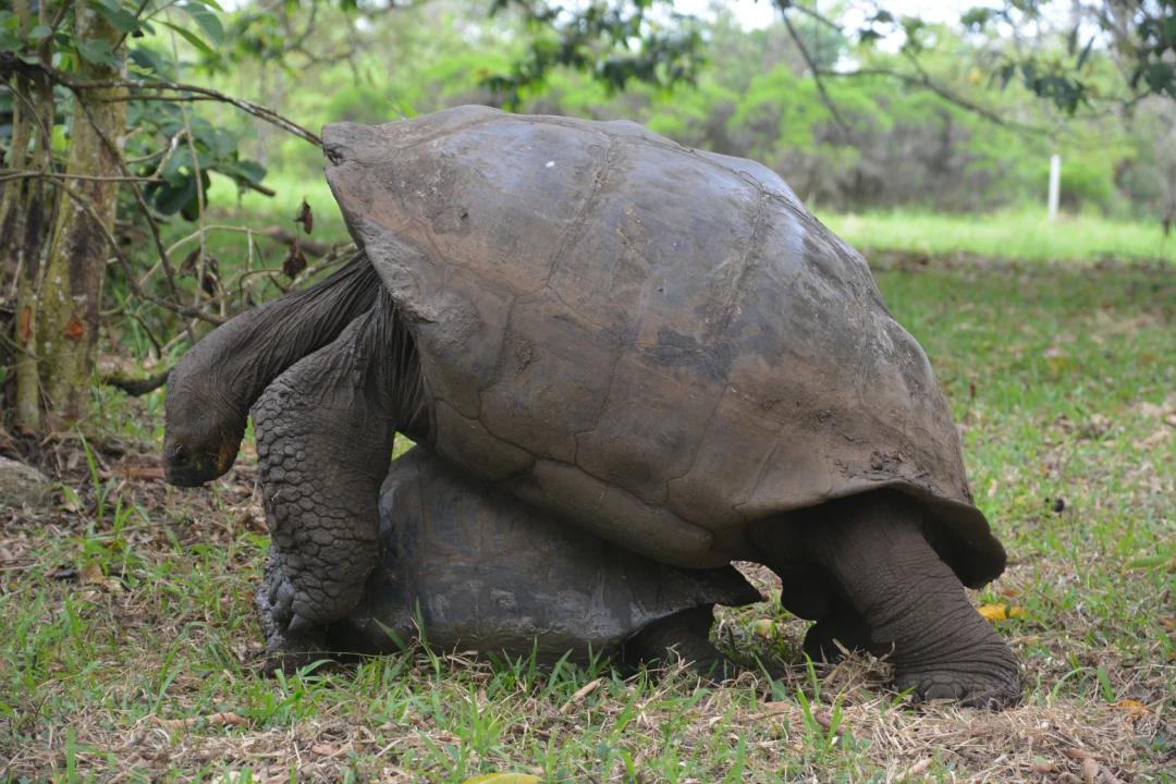 Tour Parte Alta (grupos 10-16 personas)