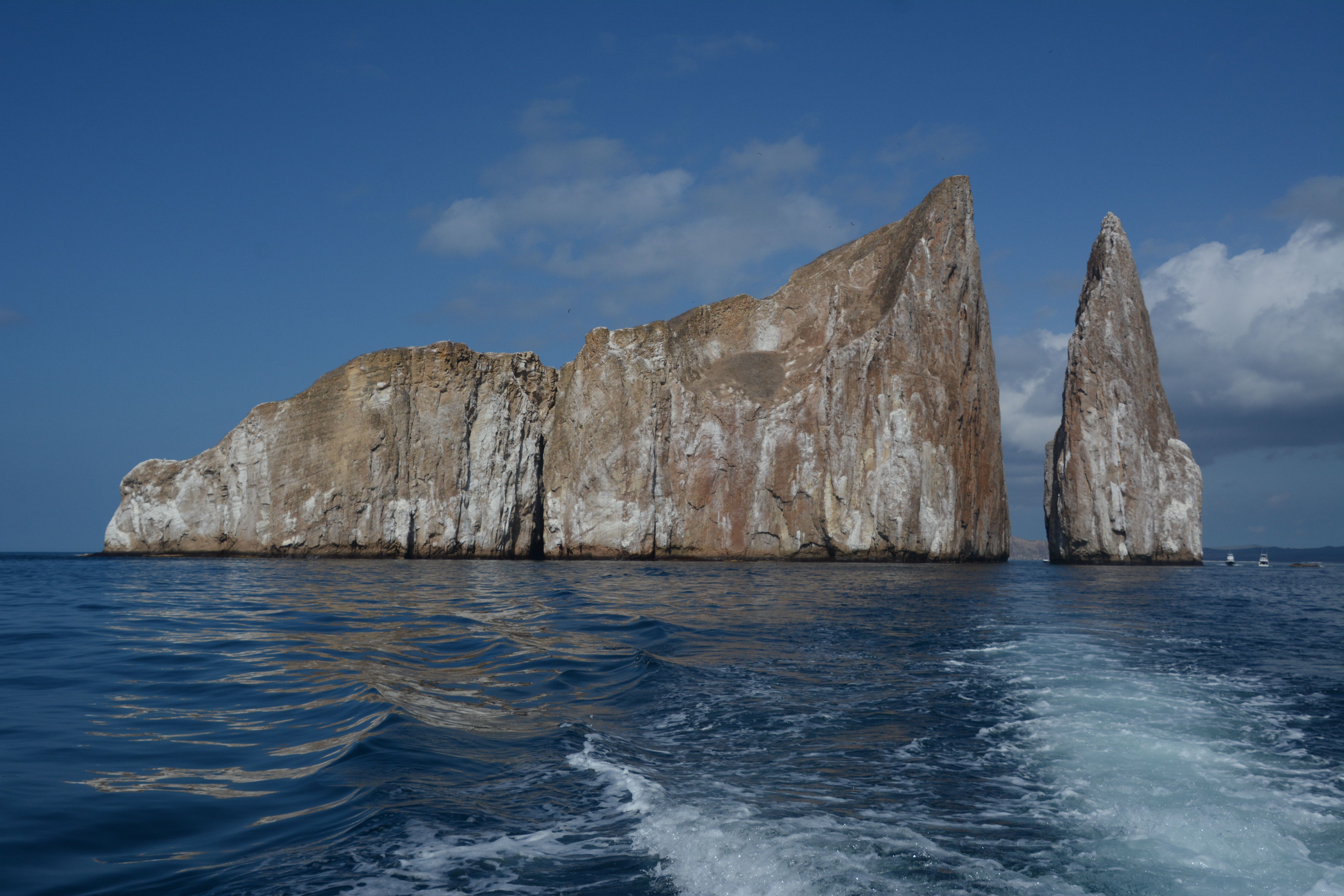 Galápagos – fauna local