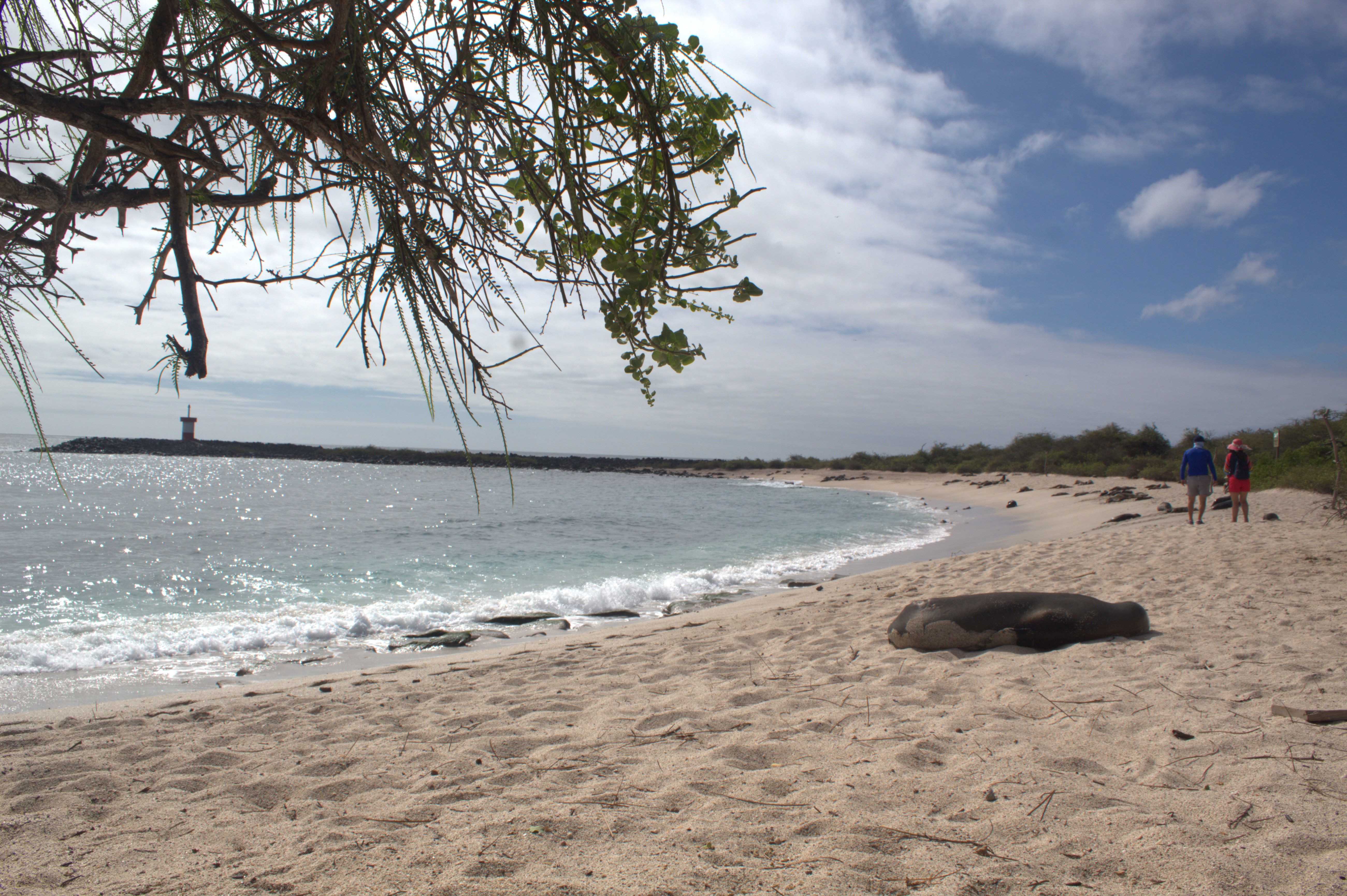 Galápagos – paisaje marino