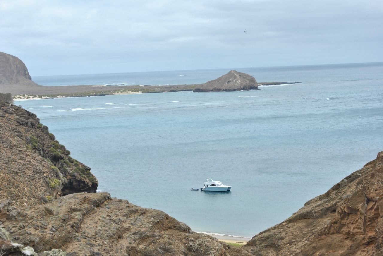 Punta Pitt