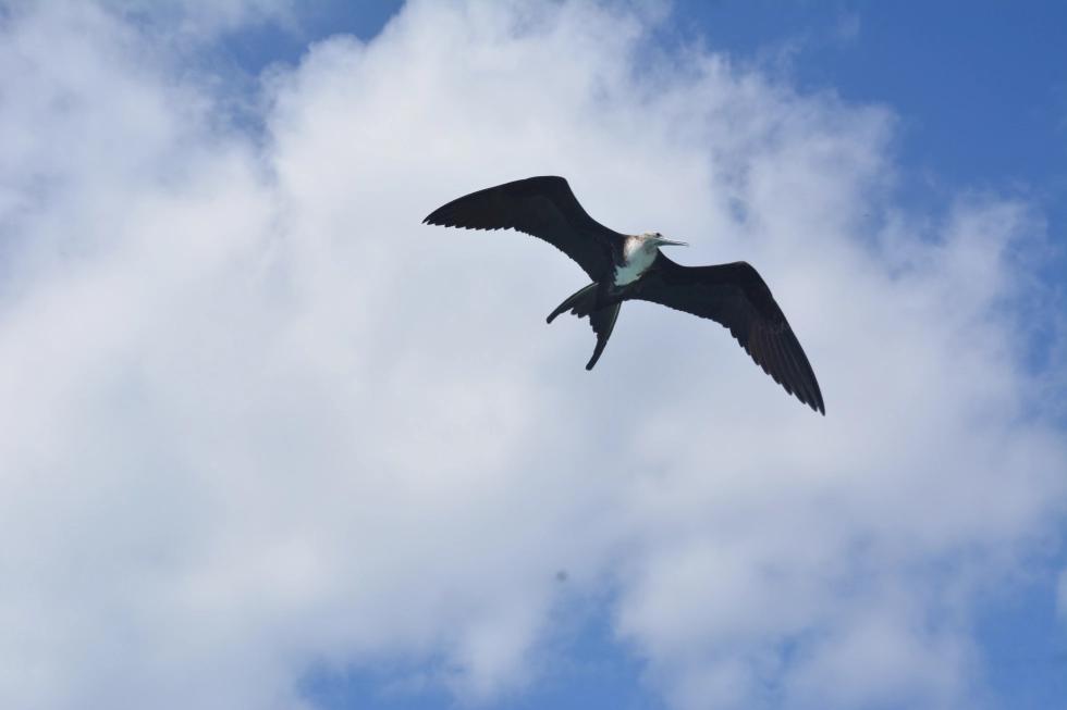 Tour Isla Lobos & Playa Ochoa