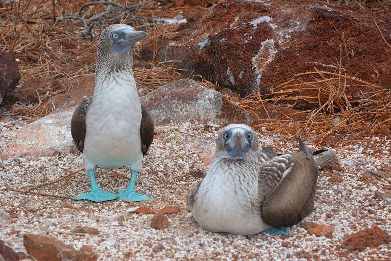 Tour Isla Lobos & Playa Ochoa