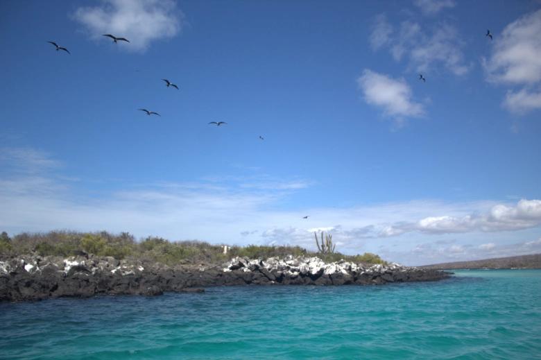 Tour Isla Lobos & Playa Ochoa