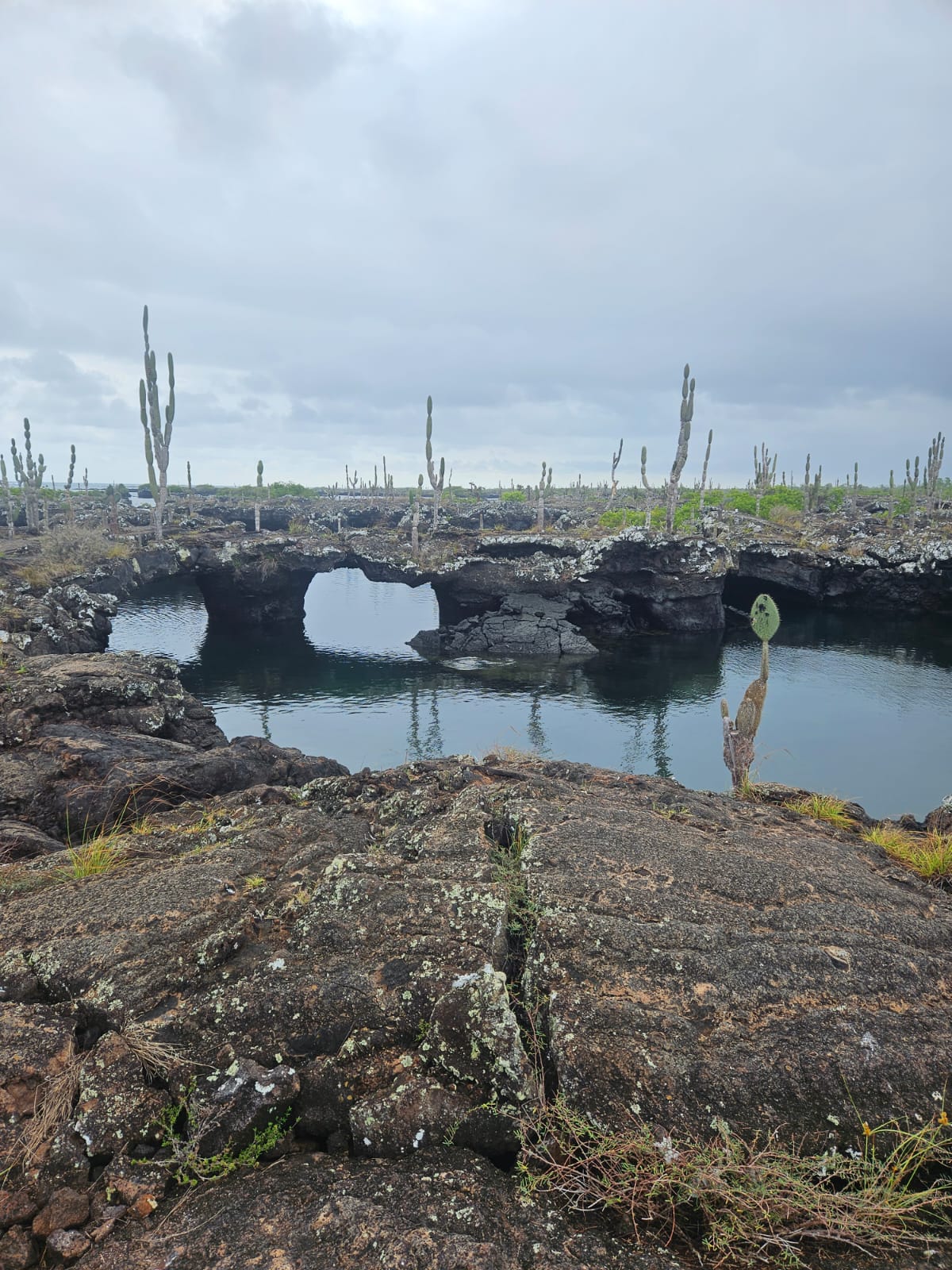 Cabo Rosa-Los Túneles de lava