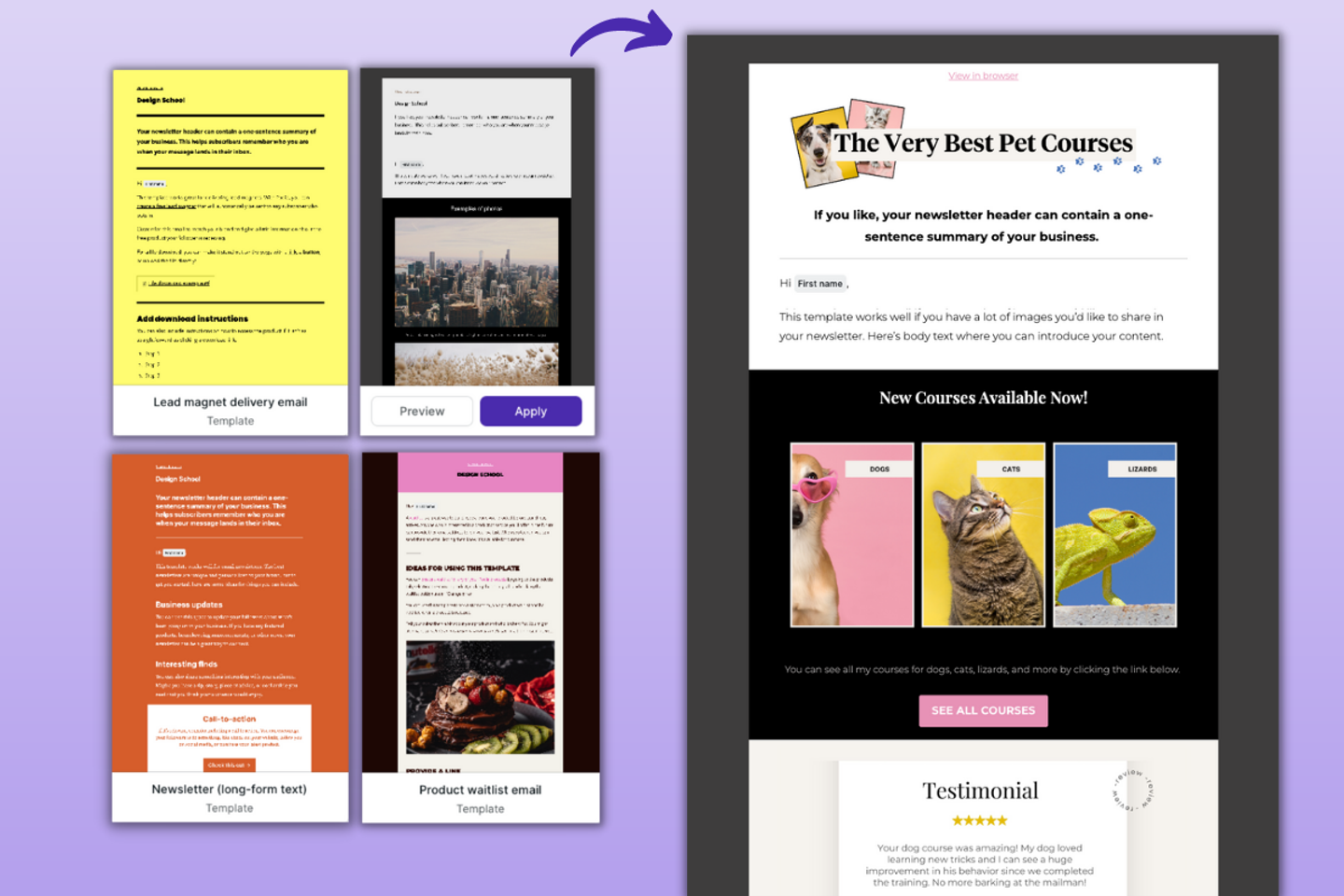 Illustration of the Podia Email product interface alongside website, courses, and community modules