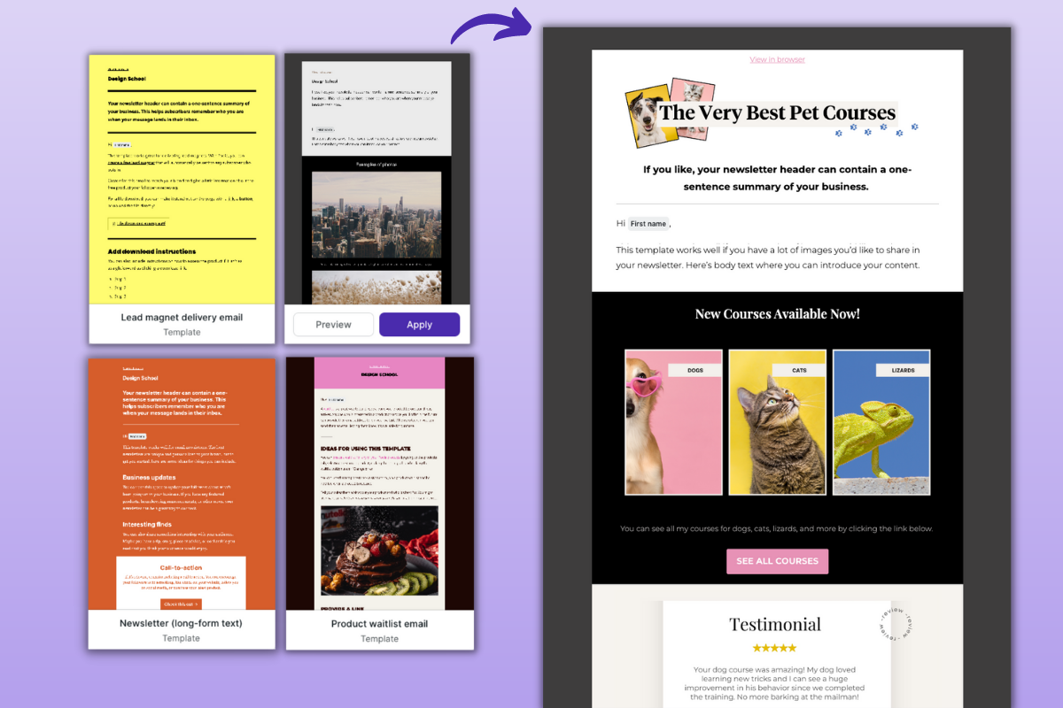 Illustration of the Podia Email product interface alongside website, courses, and community modules