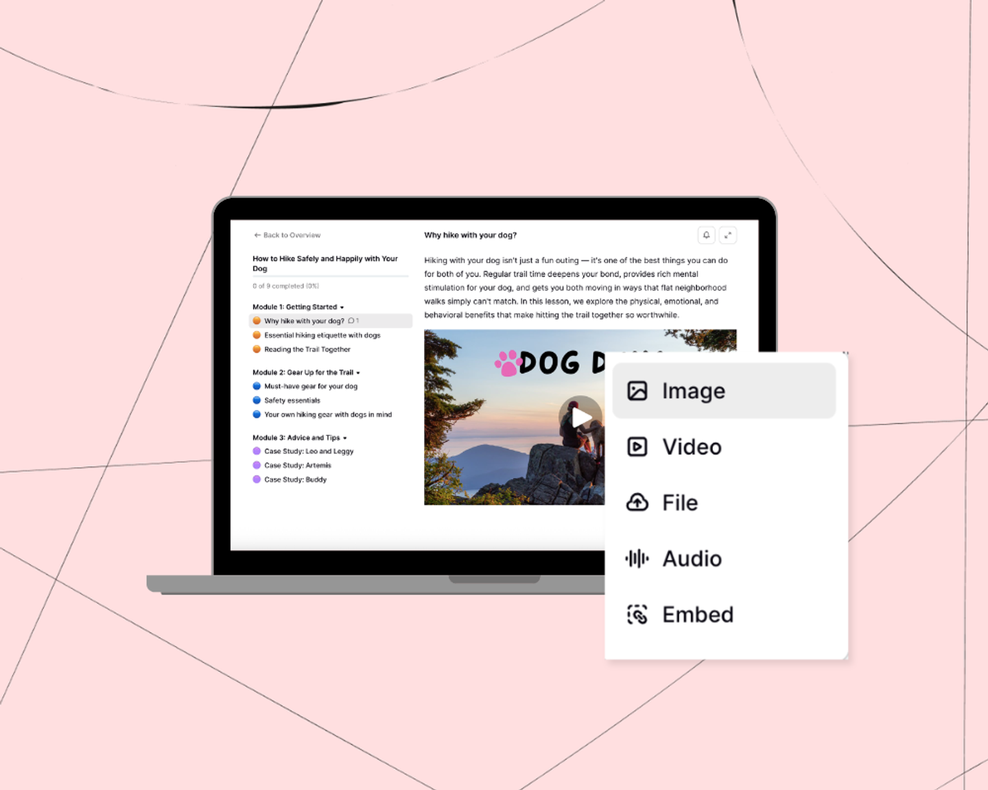 Comparison illustration of top online course platforms displayed on laptop screens