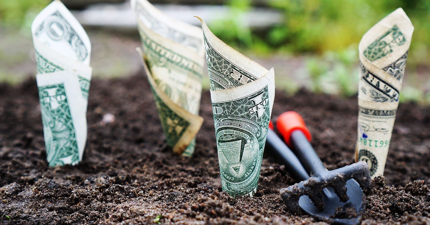 Illustration of pricing tags and dollar signs on digital products like ebooks and templates
