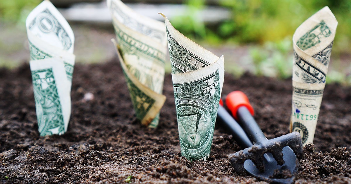 Illustration of pricing tags and dollar signs on digital products like ebooks and templates