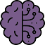 Icon for Skills Over Paper
