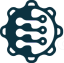 Icon for Cogniroot
