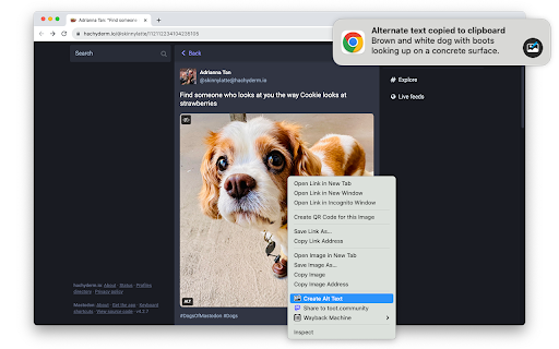 image for Alt Text Creator with GPT-4 Vision