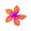 Icon for Plumeria