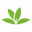Icon for Pl@ntNet