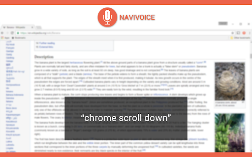 image for NaviVoice: Voice Input Productivity Assistant