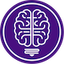 Icon for Insight