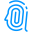 Icon for Facia