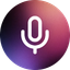 Icon for Voxa.pro