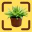 Icon for PlantIdentify - Plant Detector
